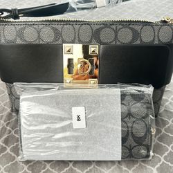 Cute Purse W Matching Wallet 