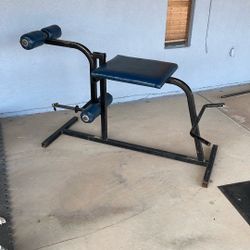 Olympic Plate Loaded Leg Extensions/curl