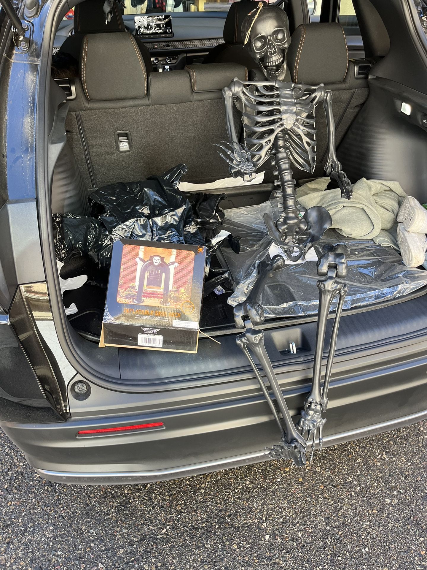 Halloween Decorations
