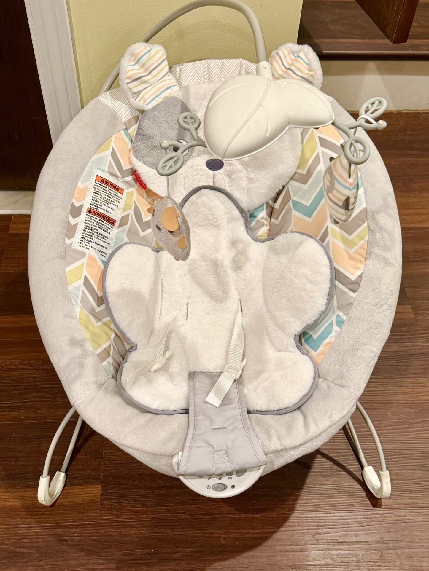 Fisher Price Baby Bouncer