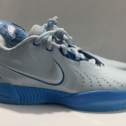 Brand New LeBrons Size 9