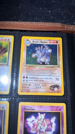 Brock’s rhydon