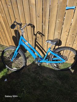 Trek Pure Ergonimcal Ladies Bike