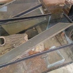 Reptile Tanks (4)  $60 For All