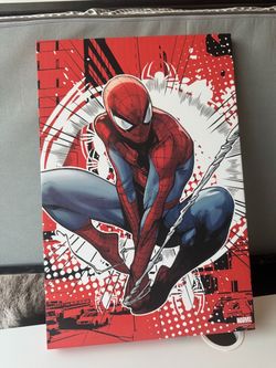 Spiderman canvas wall art