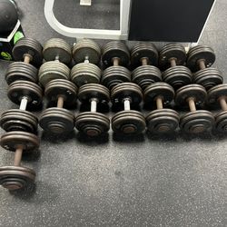 Pro Style Steel Dumbells 