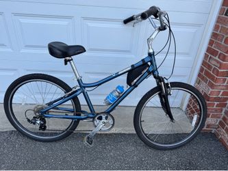 Giant Suede Bicycle  (Like New)