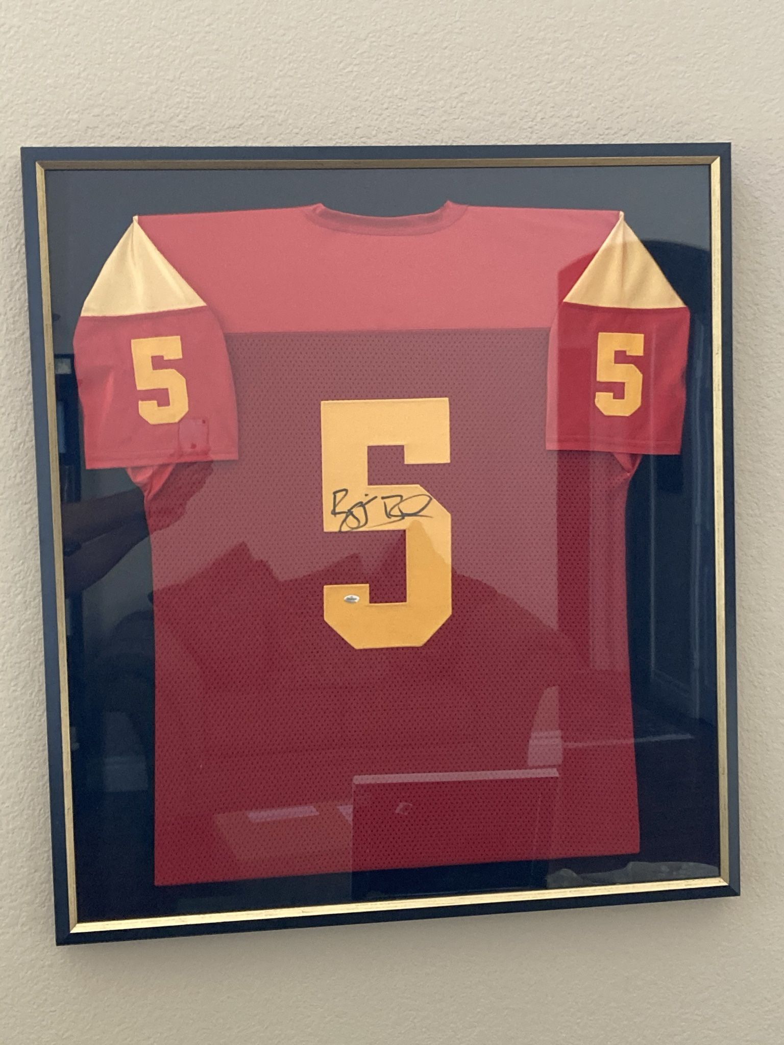 USC Trojans Jersey Signed By Reggie Bush. Swede Leather Lined Frame. (w/gtsm Coa)
