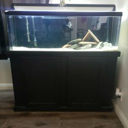 80 Gallon Acrylic Fish Tank Thumbnail