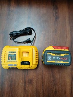 Dewalt Battery/Charger Combo Kit