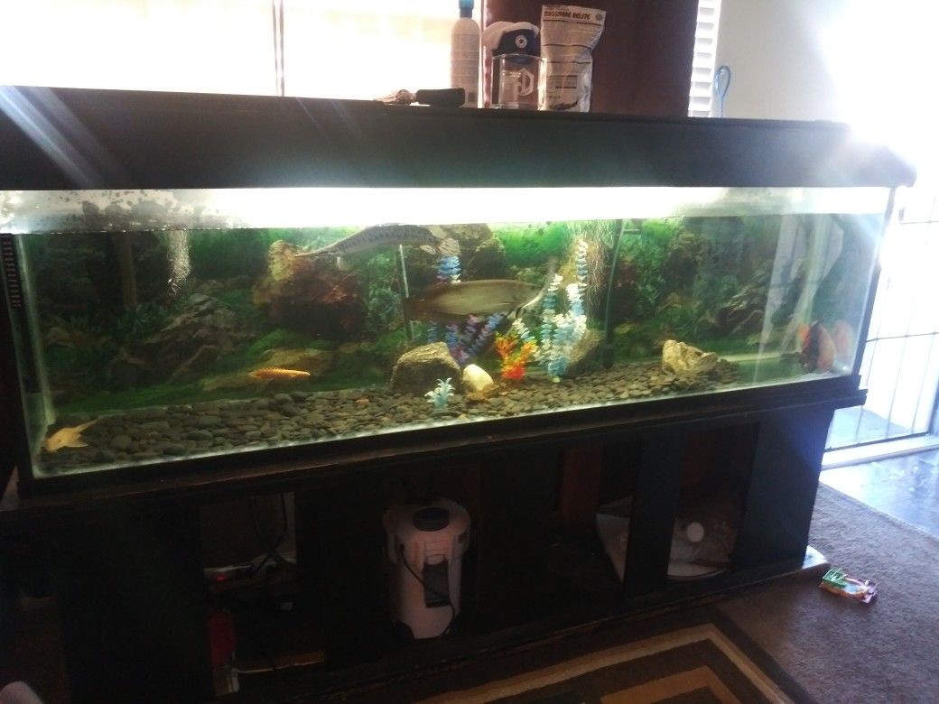 150 gallon fish tank