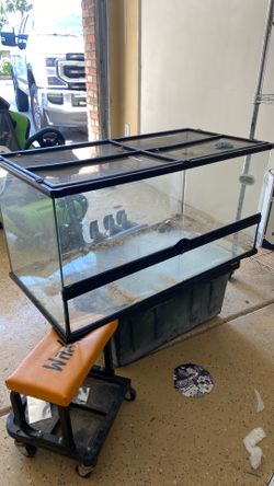Large exo terra tank ! Terrarium reptile
