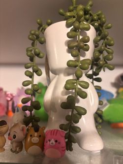 String of Pearls Plant in White Ceramic Planter