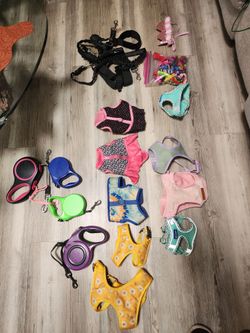 Assorted dog walking harnesses and collars