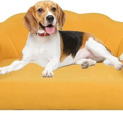 Elevated Pet Couch, Pet Sofa Bed, Yellow
