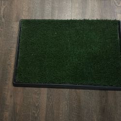 Dog Potty Training Grass