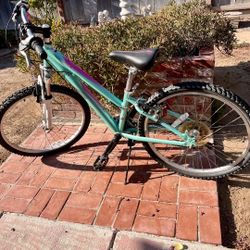 Schwinn Bike
