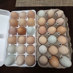 Fresh Farm Eggs - Unwashed