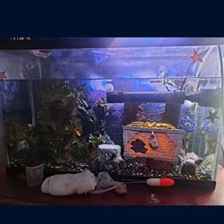 35 Gallon Fish Tank Including all accessories!