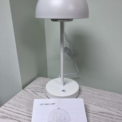 Led Desk Lamp