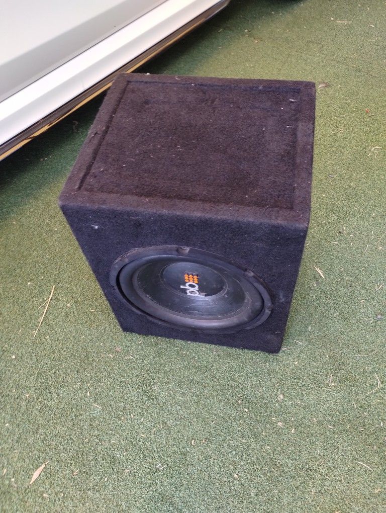 10 Inch Subwoofer