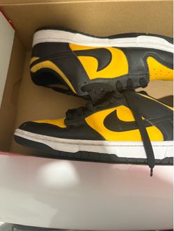 Nike dunks size 9.5