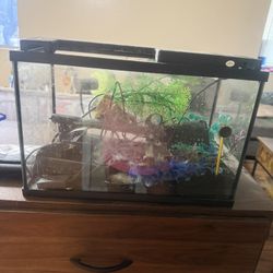 Fish tank and accessories