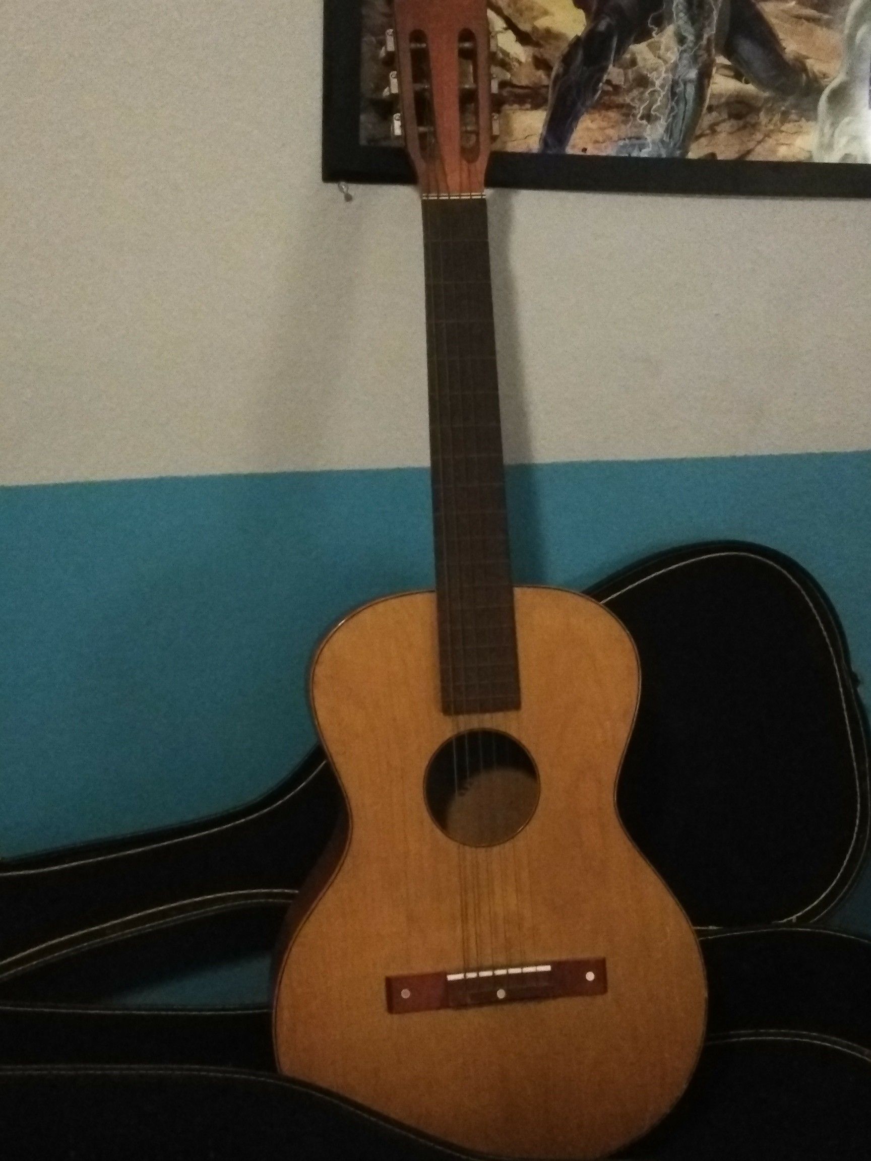 Acoustic Guitar with Case