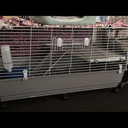 Animal Cage 