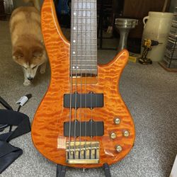Carlos Robelli 6 String Bass Guitar 