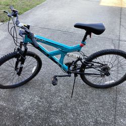 24 Inch bike (repair needed)