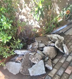 VARIOUS SIZE CEMENT PIECES. FREE! FREE!!