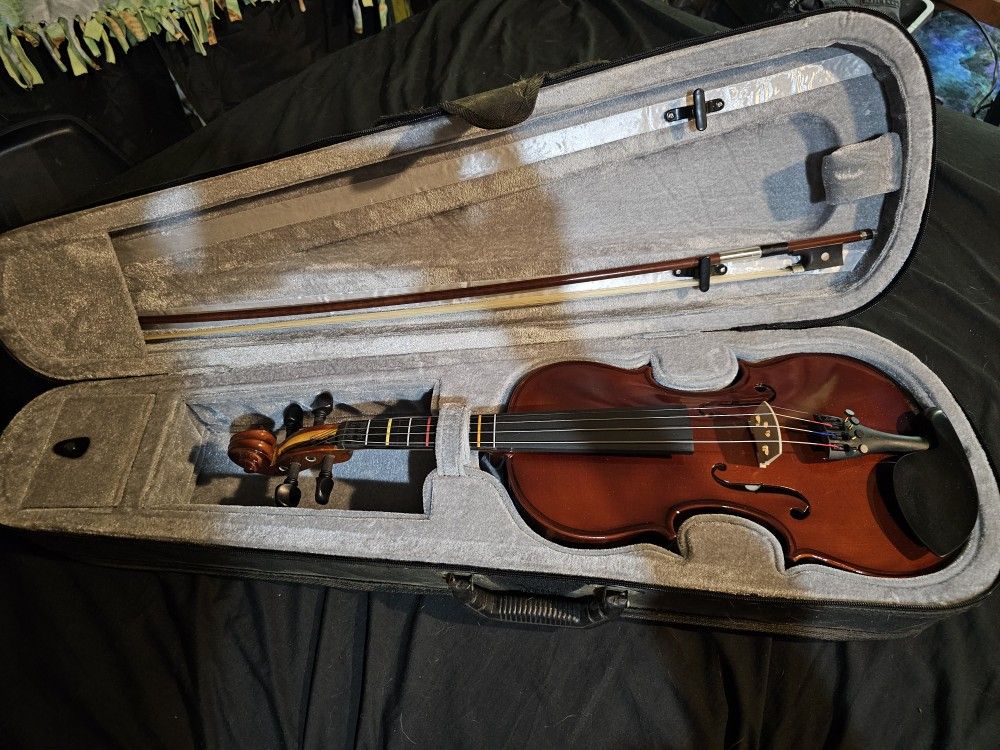 Beautiful Violin 4×4