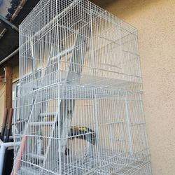 Bird cage