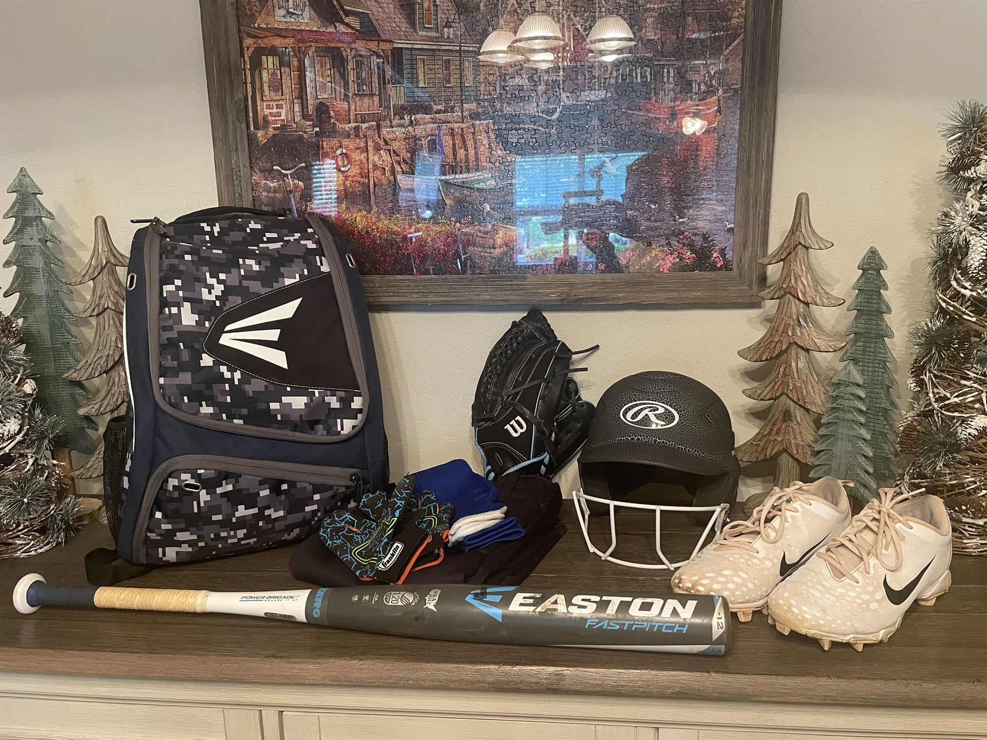Softball bat, bag, helmet, cleats, gloves, pants, socks. Check out my profile for more great items.