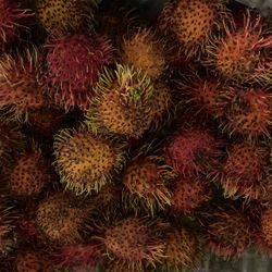 Rambutan Fresh From Tree ORGANIC 