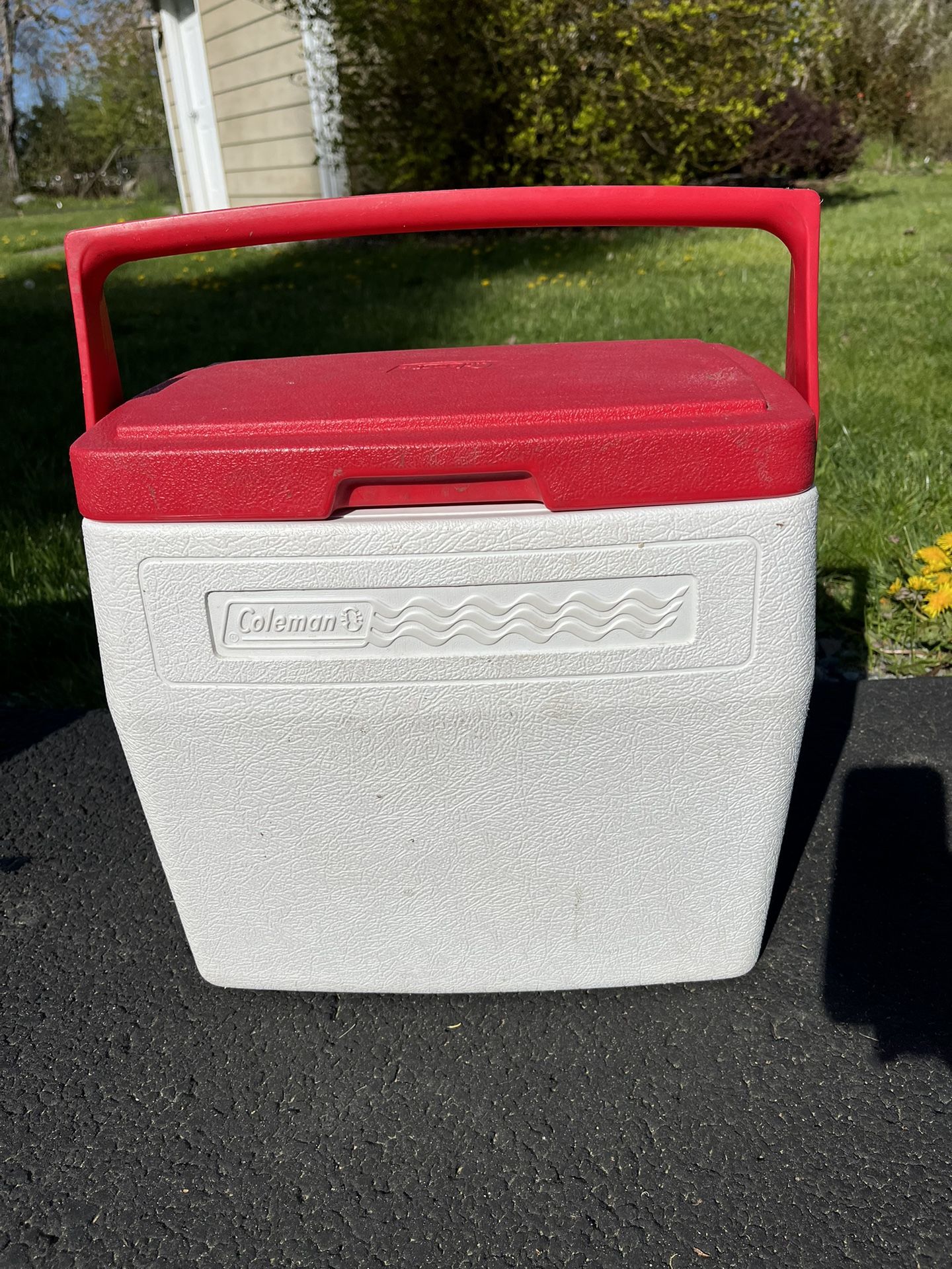 Coleman Lunch Cooler 