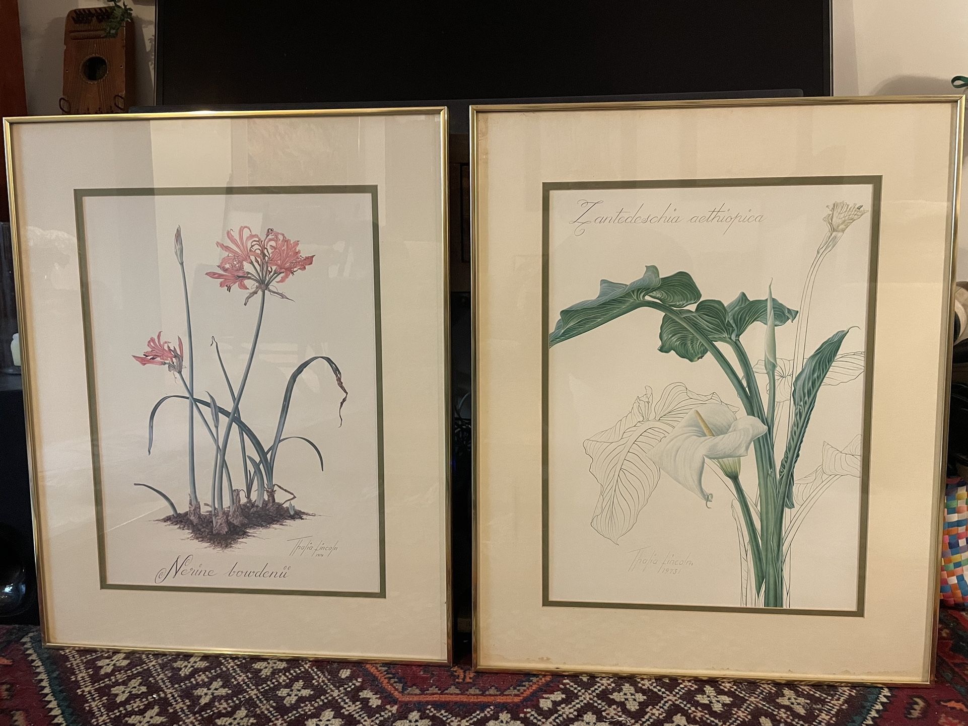 Thalia Lincoln 1973 Set W Printed Signature In Gold Plated Frames, Matted. $60 Pick Up