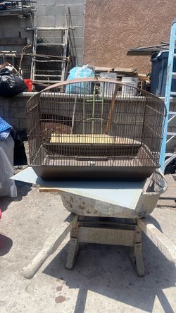 Bird Cage 