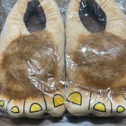 Funny Slippers