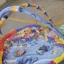 Baby Einstein Floor Mat