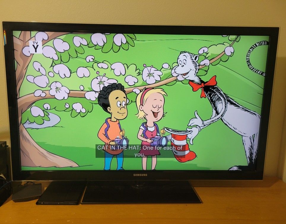 Samsung 55"