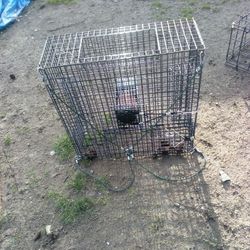 Prawn Pot 25"-10".  4 Entry Points $40.00  It's Yours  