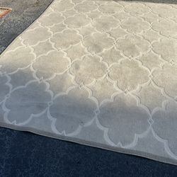 Indoor/ Outdoor Rug