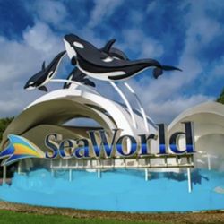 4 Tickets Seaworld Orlando 