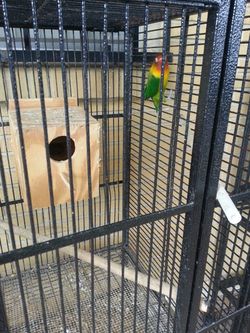 Cage