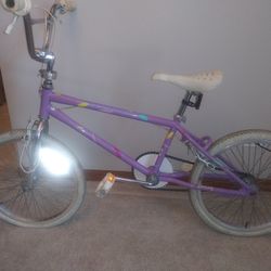 Vintage Schwinn Predator Freeform Bmx All Original Condition Excellent Shape