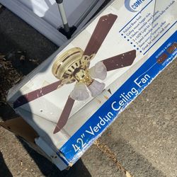 Ceiling fan