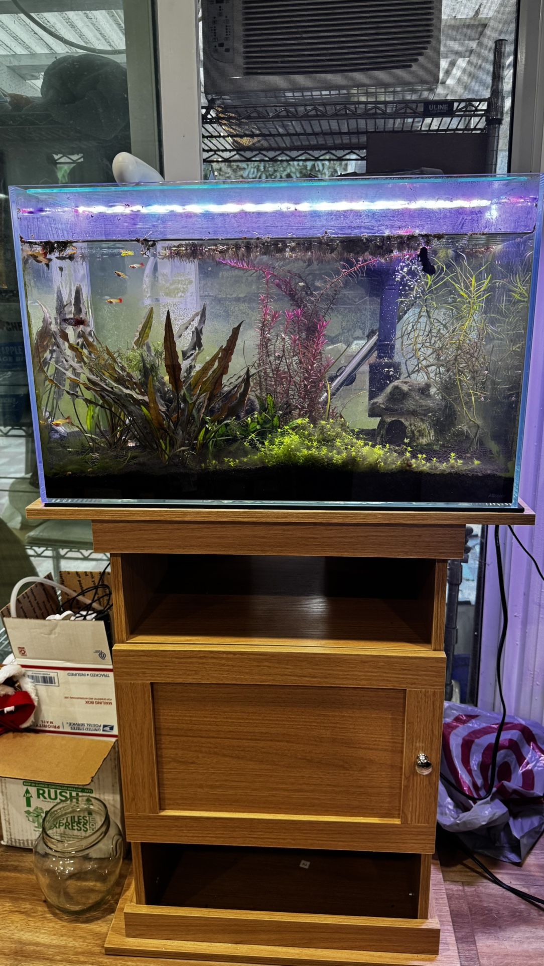 21 Gallon Rimless Fish Tank Aquarium