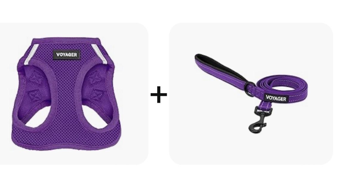 Dog Harness And Leash New